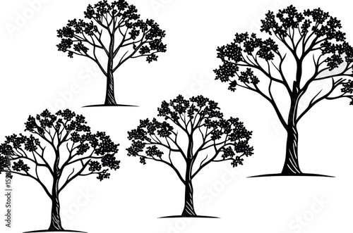 Black trees silhouettes with detailed foliage on white background