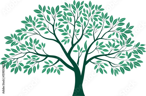 Dark green tree with many leaves illustration nature