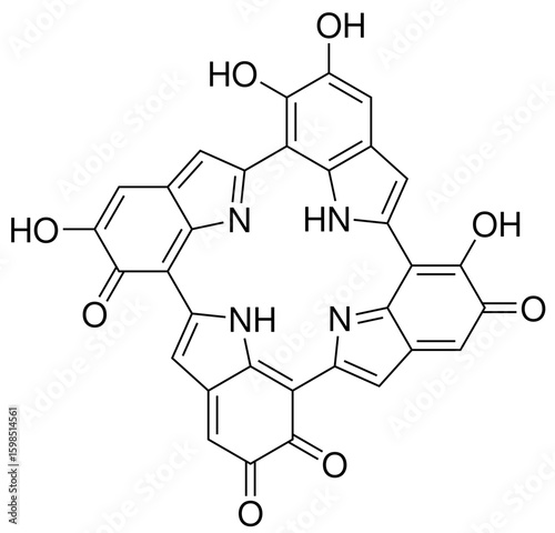Melanin Biochemie Strukturformel Vektor