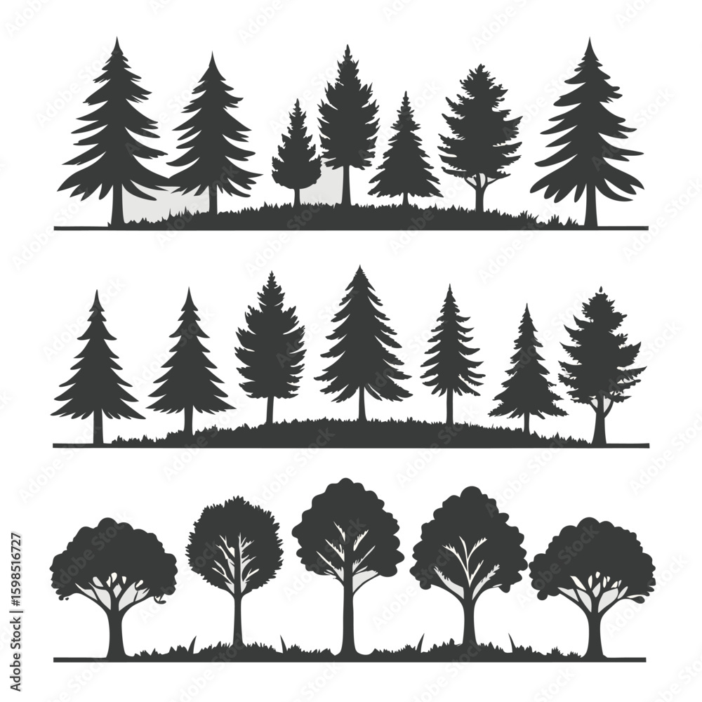 Obraz premium Dark forest trees and deciduous trees evergreen trees