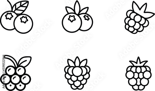 Line art icons: blueberries, raspberries, and currants; fresh, healthy, simple style.