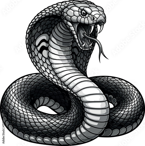 Cobra Snake Ready to Strike. Aggressive Coiled Serpent with Open Mouth and Fangs. Black and White Vector Illustration for Tattoo or Mascot.