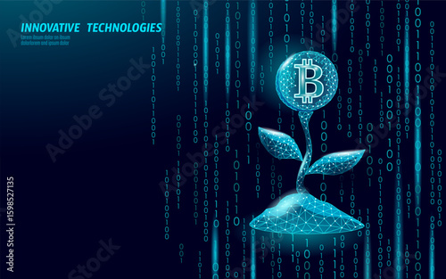 Bitcoin flower growing concept. Cryptocurrency bloom represents digital finance investment. Fintech blockchain technology growth earnings. Low poly style dark blue vector
