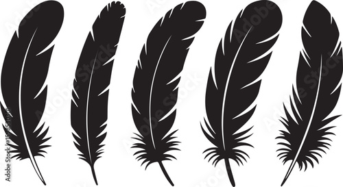 Bird Feather silhouette vector set. bird feather vector illustration icon isolated on white background
