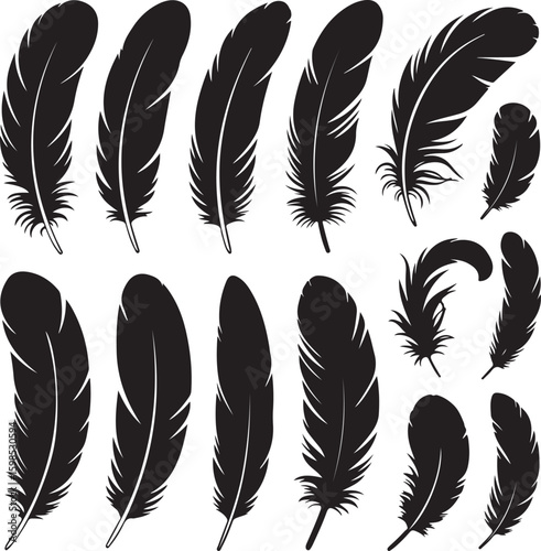 Bird Feather silhouette vector set. bird feather vector illustration icon isolated on white background
