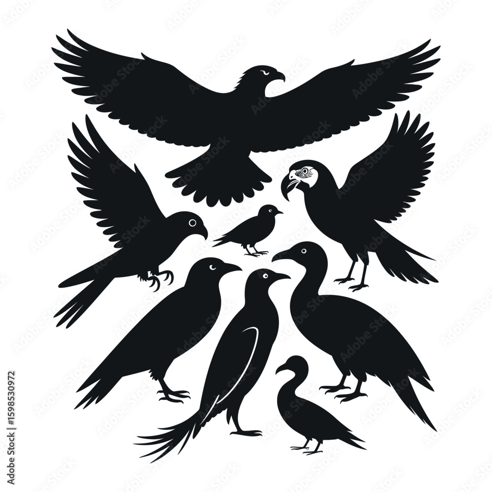 Obraz premium An Ornithological Array A Collection of Birds Featuring Eagles Parrots and More Showcasing the Beauty and Diversity of Avian Life in Flight and Stillness Silhouette Art
