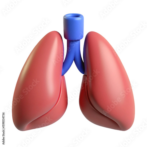Human Lung Plastic 3D Icon for Anatomy Respiratory System Health and Medical Concepts

