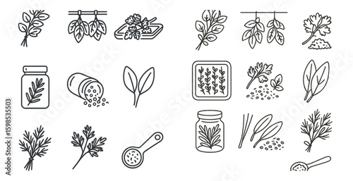 Set of herbs and spices are shown in a black and white style. The herbs include parsley, basil, and rosemary. The spices include salt, pepper, and garlic