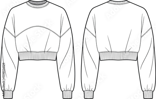 Cropped sweatshirt fashion illustration, front and back views, casual garment design sketch with stylish seam details, apparel template for reference