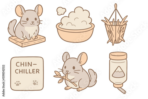 Soft cartoon icons of chinchillas and care gear. Ideal for pet shops, stock illustrations, or UI packs. No shadow, pastel color palette, clean outlines.