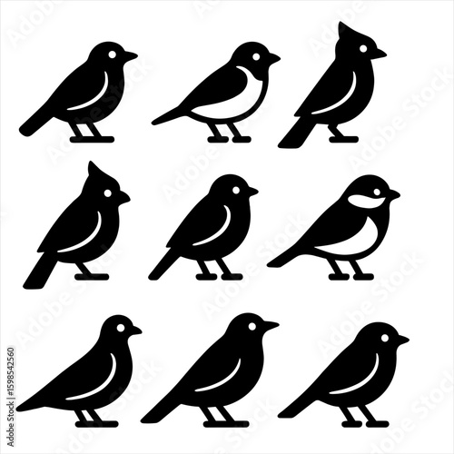 Backyard Bird Icons. Solid style icons of common backyard birds: robin, sparrow, blue jay, cardinal, finch, chickadee, dove,