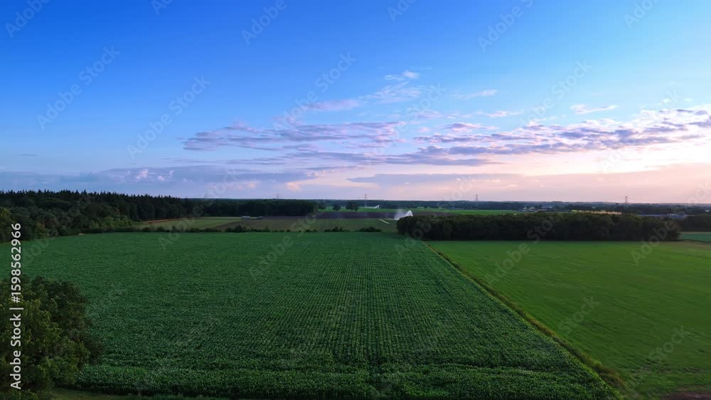 Flight over the green fields with agricultural plants growing on. Irrigation system works at backdrop. Flight over the green fields with agricultural plants growing on. Irrigation system works at backdrop.
