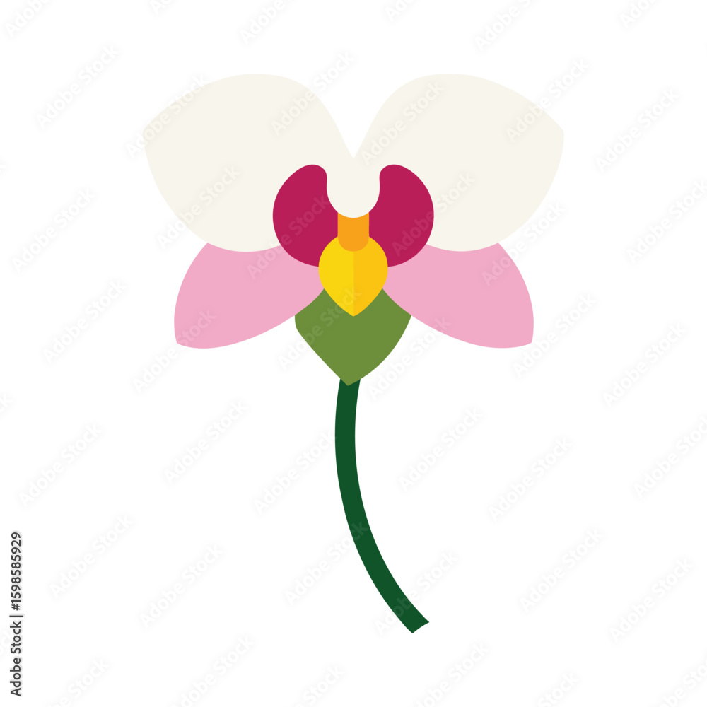 Fototapeta premium Orchid exotic bloom with artistic petal details for modern floral themes Vector illustration on white background.