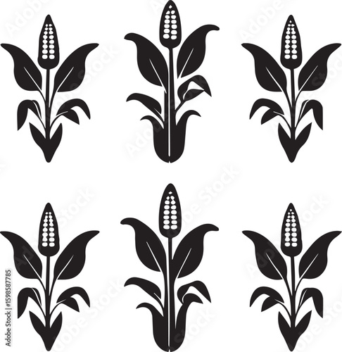 Silhouetted Corn Plants in Repeating Pattern