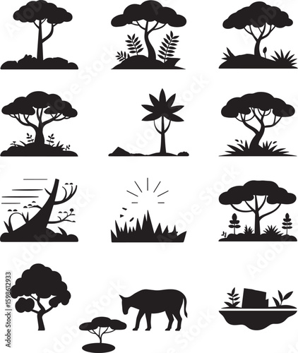 Diverse African savanna landscape elements trees plants