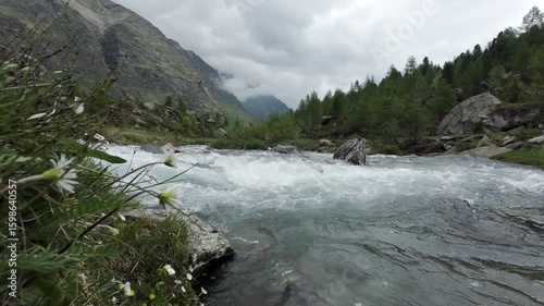 Wildbach bei Lazins in der Texelgruppe in den Bergen Südtirol Italien mit Wildblumen im Vordergrund Var. 16
