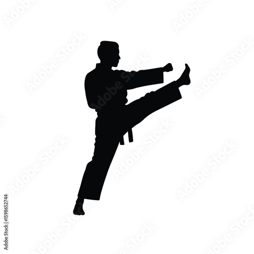 Silhouette of Martial Artist Performing a High Kick in a Karate Stance on White Background Art