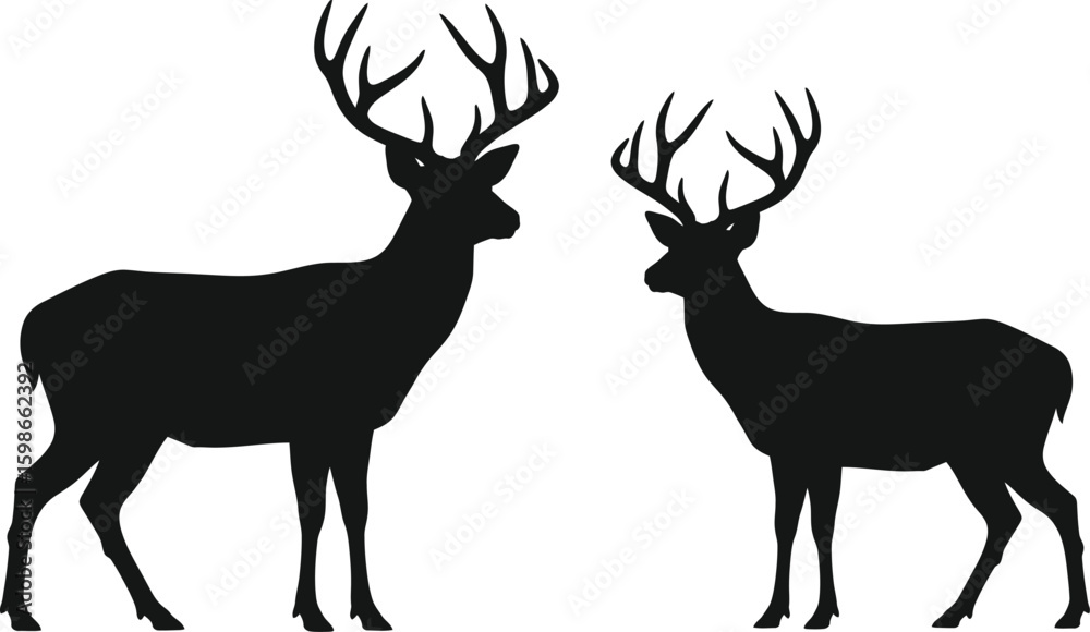 Naklejka premium Adobe Illustrator Artwork
