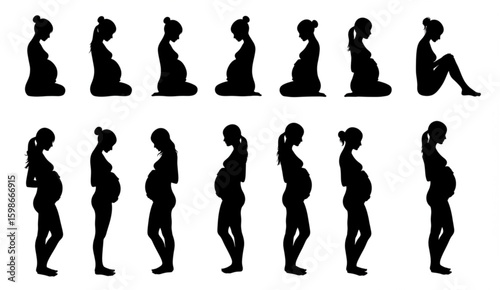 vector silhouette of a pregnant woman on a white background .Generative AI

