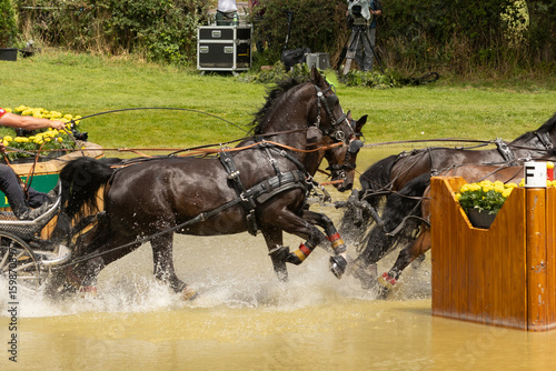 Kutschsport im Wasser