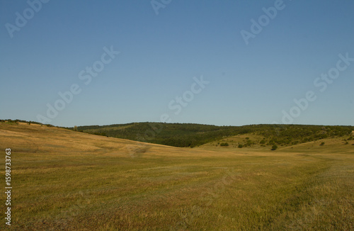Fototapeta Naklejka Na Ścianę i Meble -  A grassy field with a hill in the background