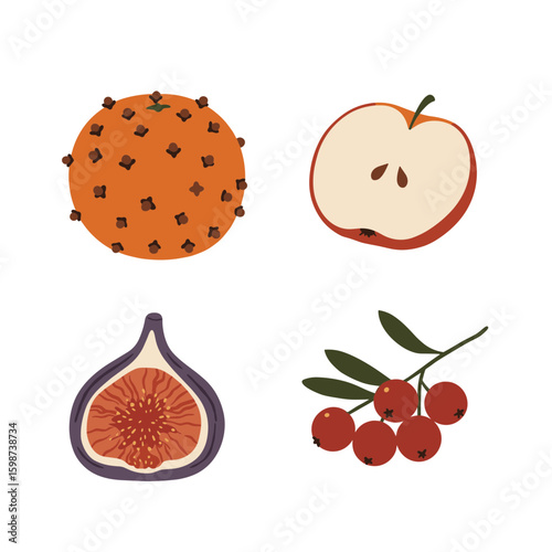 Illustration of an orange with cloves, apple slice, fig, and red berries