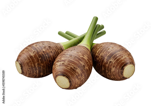 Taro tuber PNG