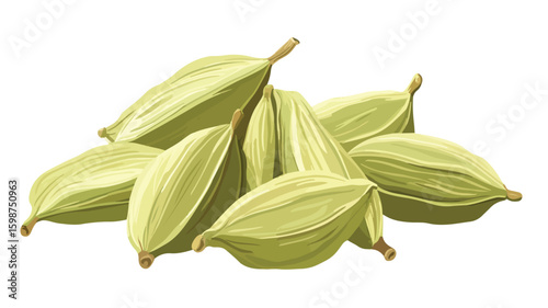 Cardamom Seed Spice Vector Illustration for Culinary Designs