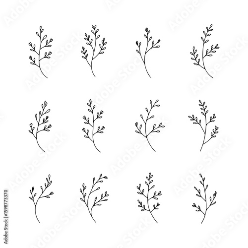 Delicate Botanical Branches. Delicate Botanical Branches shows a variety of thin hand-drawn branches in a clean, minimal aesthetic.