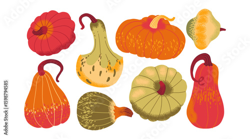 Colorful autumn pumpkins and gourds set in hand-drawn style. Ideal for seasonal design, Thanksgiving, or harvest-themed projects.