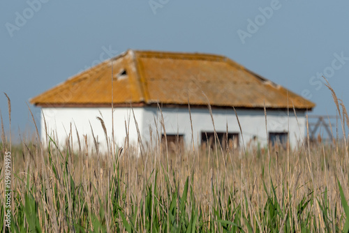 Abandoned house behind reeds with blurred background, Dzharylhach Island, Ukraine