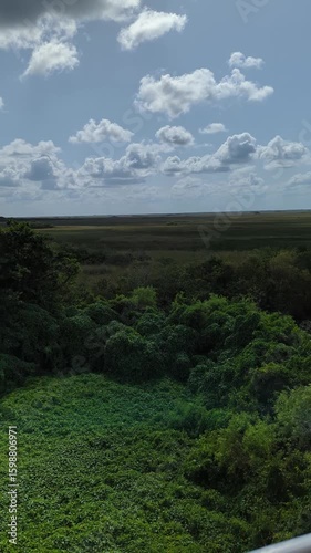 Shark Valley tower pan reveals Everglades Florida landscape