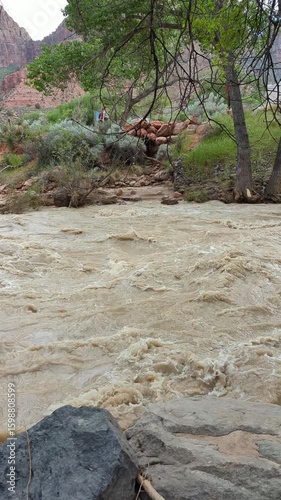 Virgin River flows muddy under bridge in Zion National Park canyon
