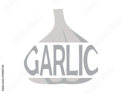 Garlic with inscription garlic. Vegetable, planting and harvest symbol. Natural organic food. Isolated vector image