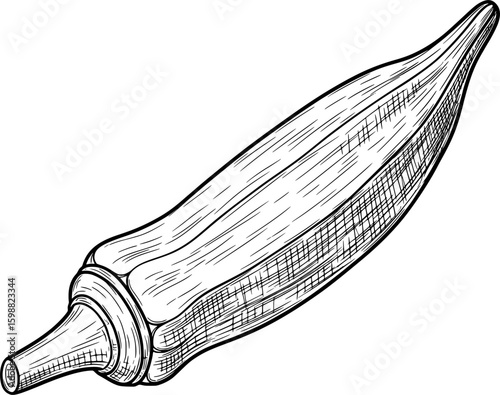 Single okra pod with ridged sides and natural shape, hand-drawn style