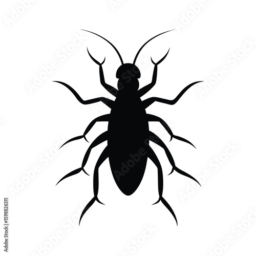 Louse insect silhouette in compact crawling shape vector illustration.