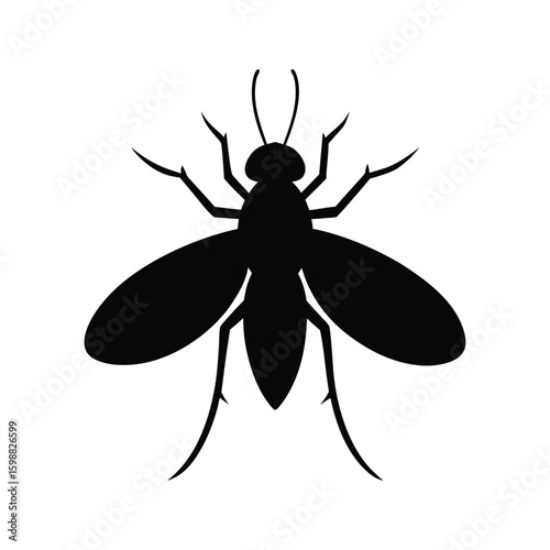 Sandfly insect silhouette with delicate wings vector illustration.
