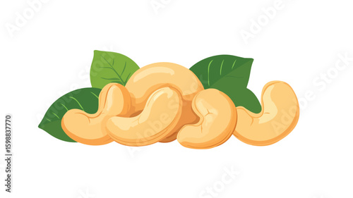 Cashew Nuts Vector Isolated Illustration for Culinary Designs