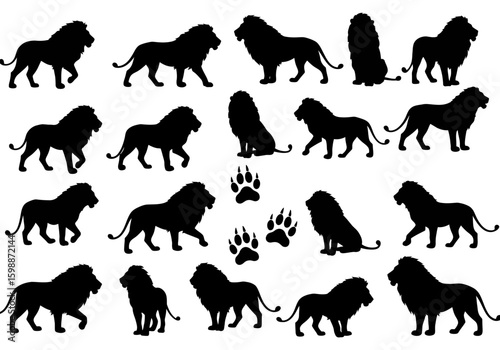 Majestic Big Cat Silhouettes Featuring Lions in Various Poses Paw Prints and Powerful Stances for Wildlife Design and Nature Themes