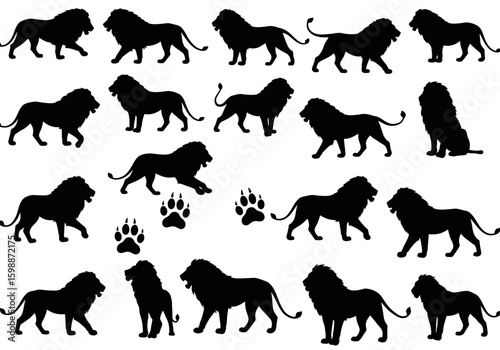 Majestic Big Cat Silhouettes Showcasing Power Strength and Primal Beauty in Nature