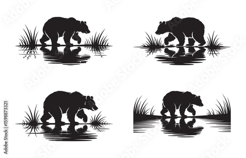 Silhouette of a grizzly bear walking in water with reflection and grass on a white background