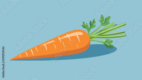 Fresh Organic Carrot Vegetable Wide Angle Food Photography