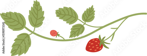 Strawberry Plant with Leaves