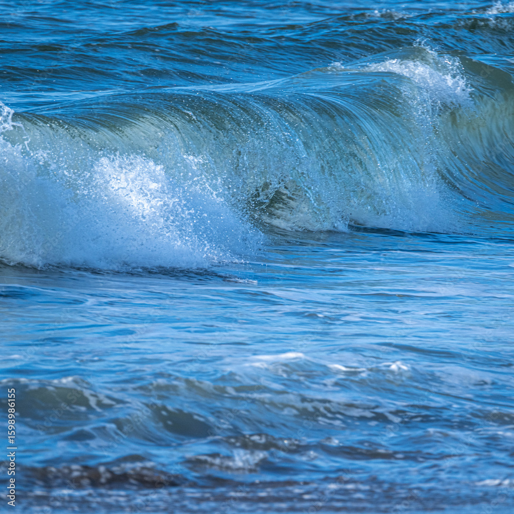 Obraz premium 初夏の松島