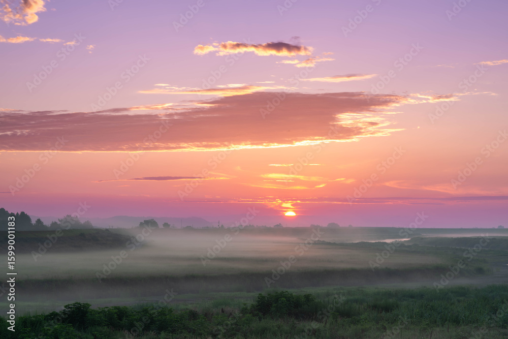 Fototapeta premium 大暑の朝