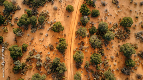 Australian Outback Road
