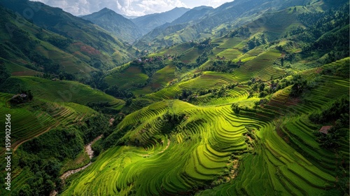 Breathtaking Aerial View of Lush Green Rice Terraces