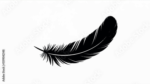 Minimalist black and white single eagle feather illustration with clean lines