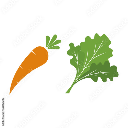 Carrot lettuce icon. Fresh vegetable set. Healthy food concept. Green plant Vector.