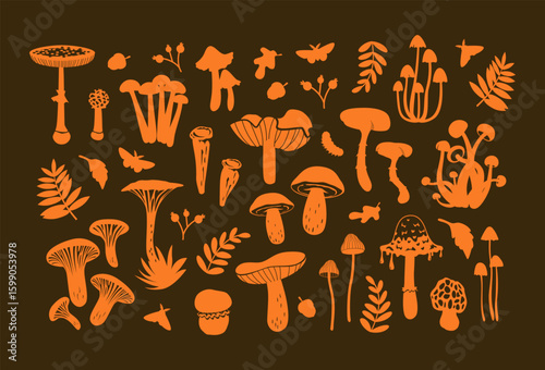 A big collection of silhouettes of various mushrooms isolated on a dark background. Great for icons, culinary website design, menus, books, autumn projects, educational materials